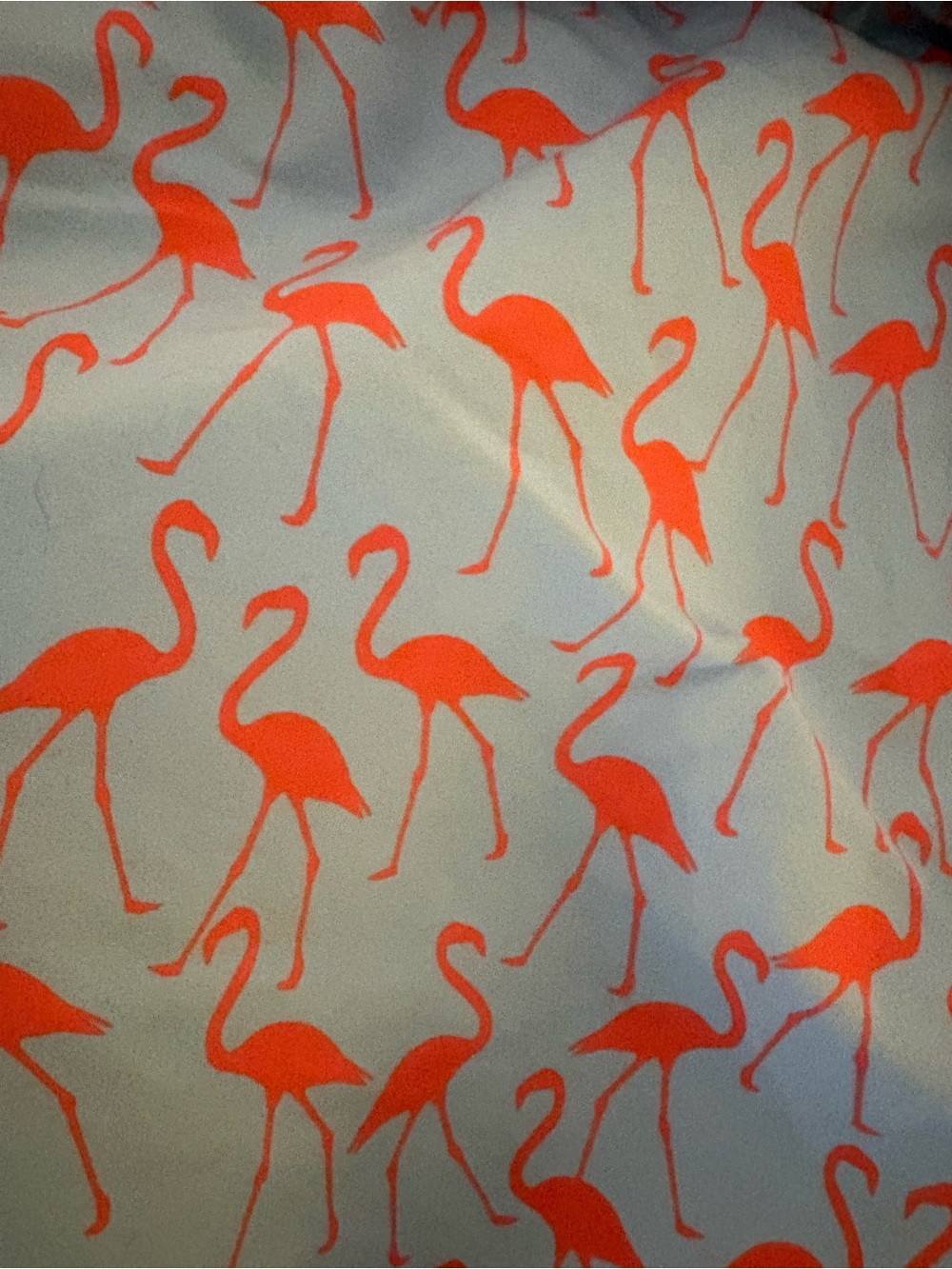 Men's Pink Flamingo Swim Trunks with Mesh Liner